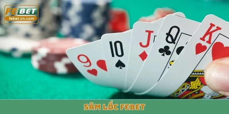 sâm lốc febet
